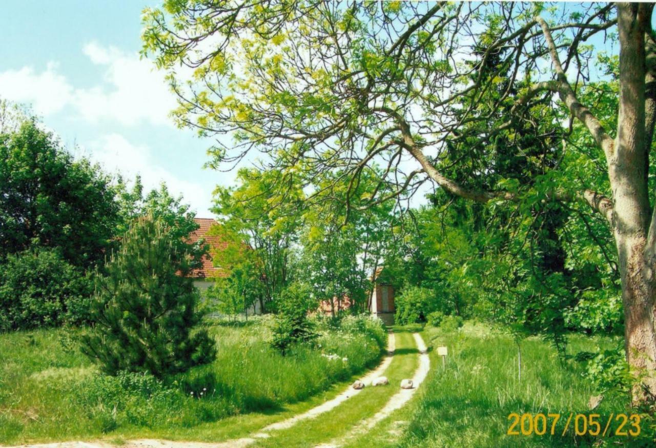 Alt Jargenow Gutshaus Alt-Jargenow 아파트 외부 사진